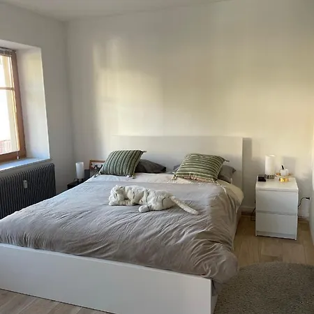 Centre 2 Pieces # 102 Apartment Le Hohwald